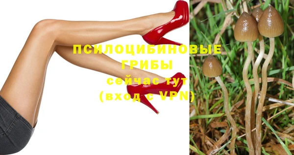 ешки Баксан